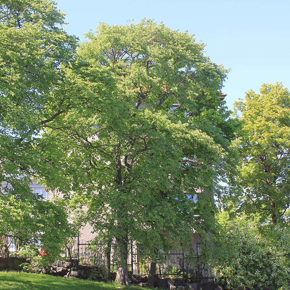 EDD ympäristöriskien Korjauspartnereilta